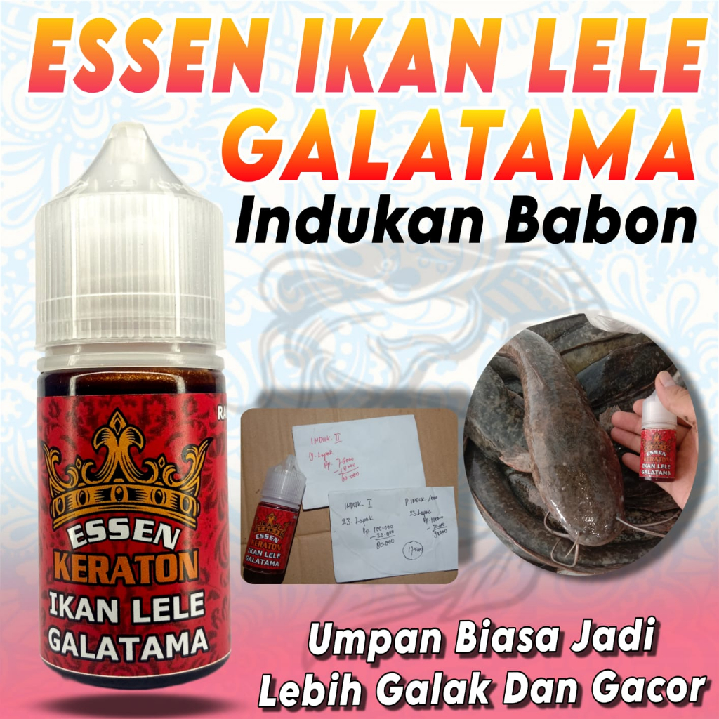 Essen Ikan Lele,Essen Ikan Lele Galatama, Essen Ikan Lele Harian, Essen Ikan Lele Media Cacing,Essen