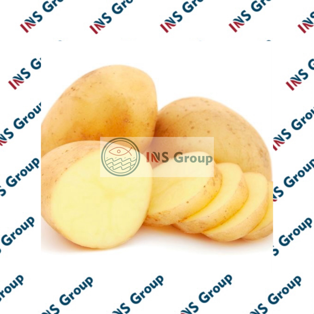 

Kentang Dieng Super 500gr / Sayuran Segar