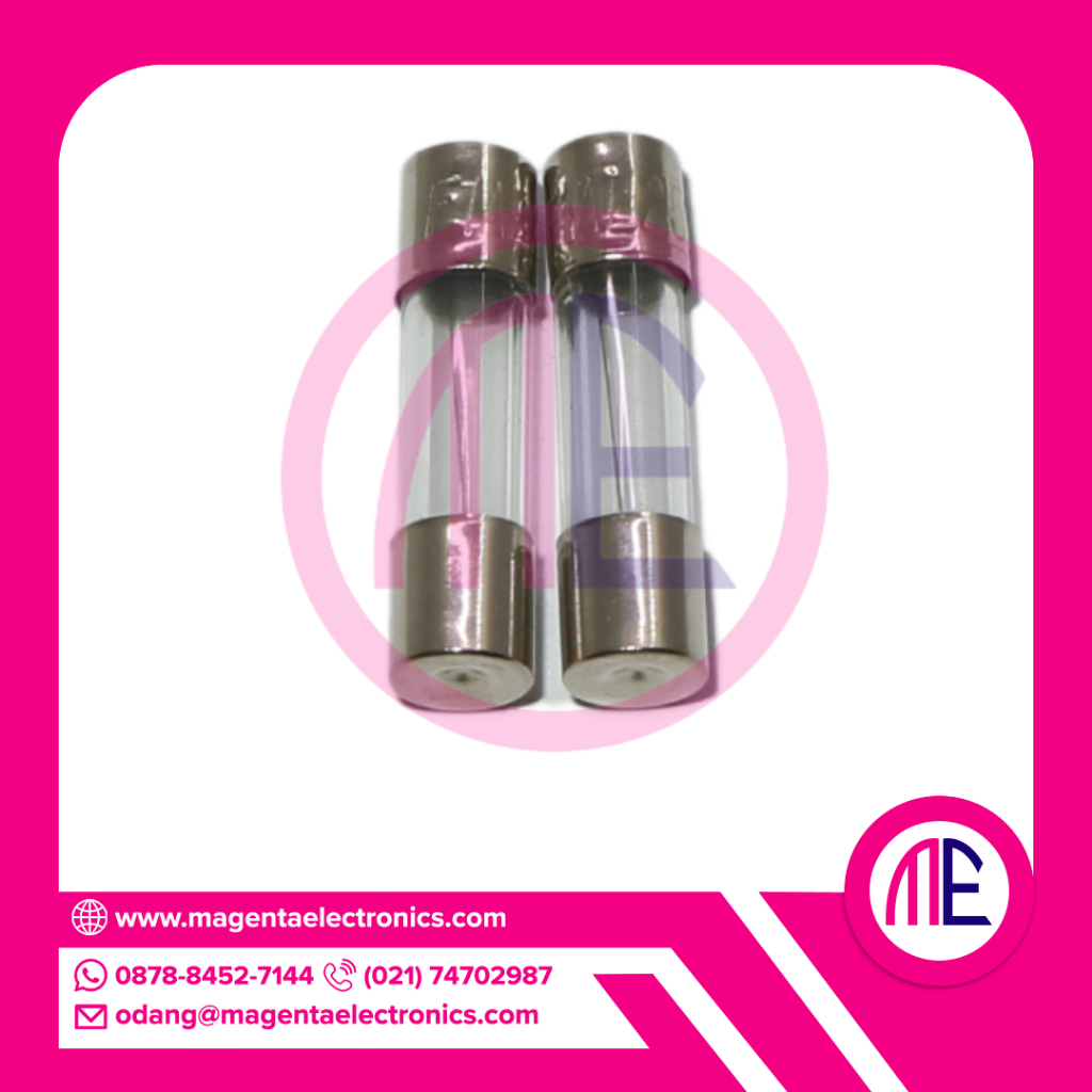 F1AL250V - 1A 250V FUSE GLASS (L= 2 cm W= 0.5 cm)