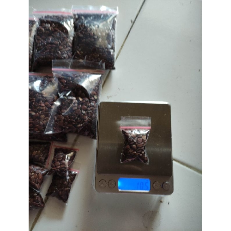 Benih Lamtoro/ Petai Cina