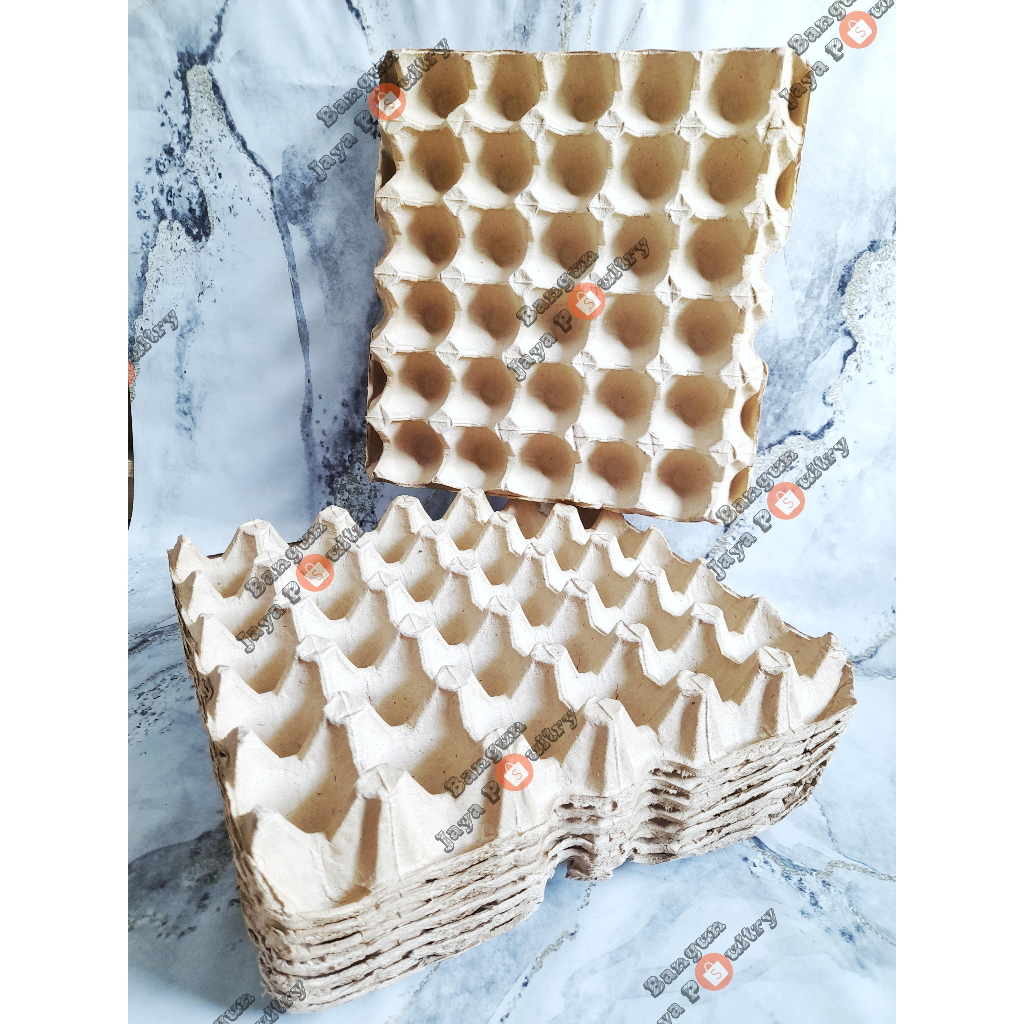EGG TRAY KERTAS / WADAH TELUR / TEMPAT TELUR