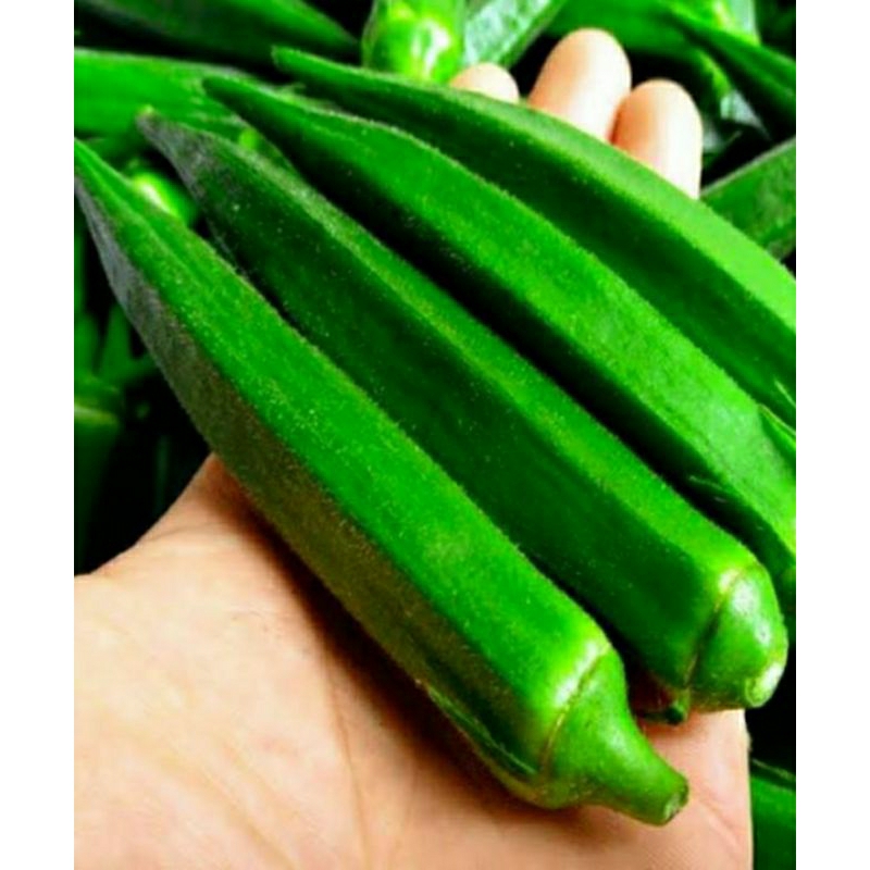 

okra segar 1kg