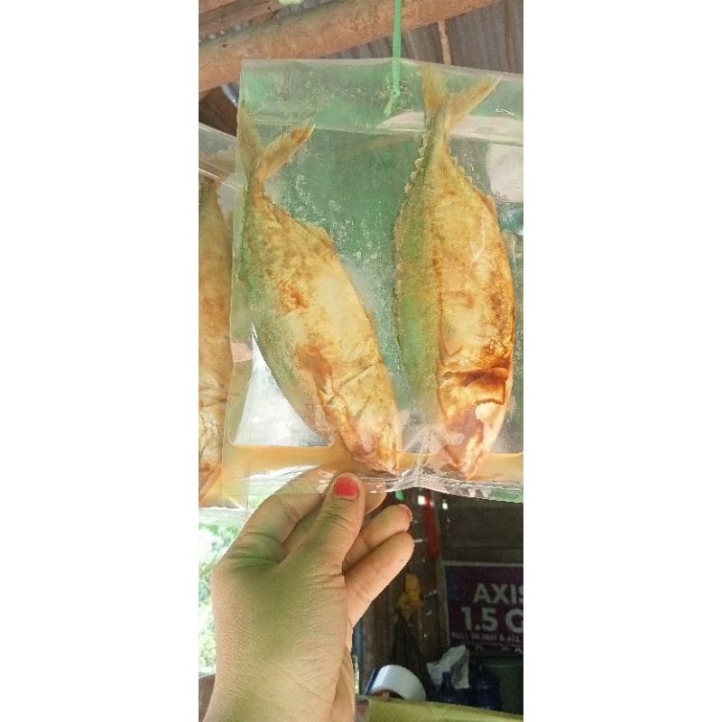 

pedak kembung