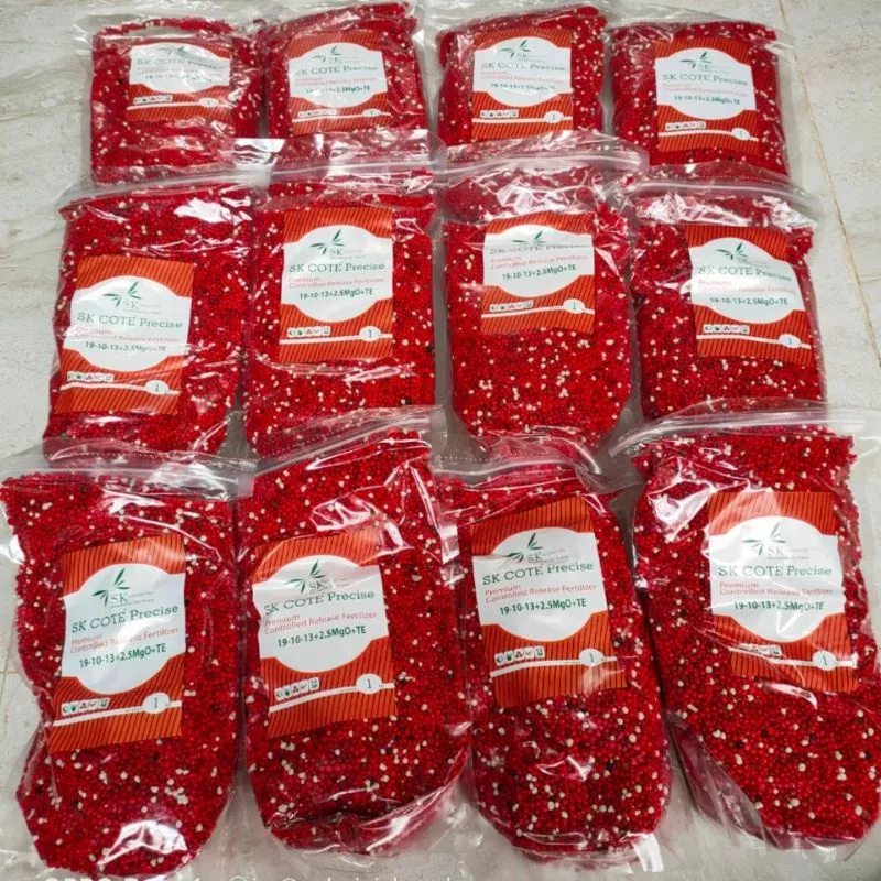200 GR Pupuk Merah Aglonema Premiun Slow Release
