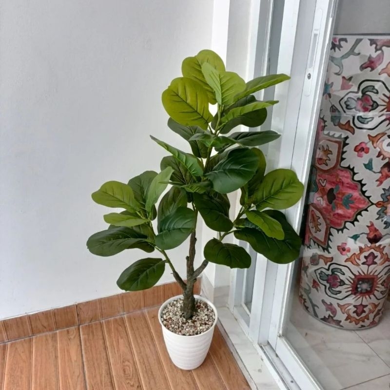 Pohon Hias Sudut Ruangan Ketapang Biola Artificial