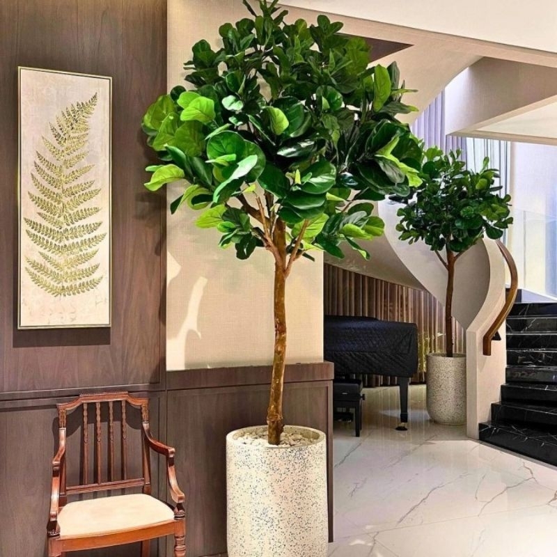 Pohon Artificial Dekorasi Sudut Ruangan Pohon Ketapang Biola Artificial