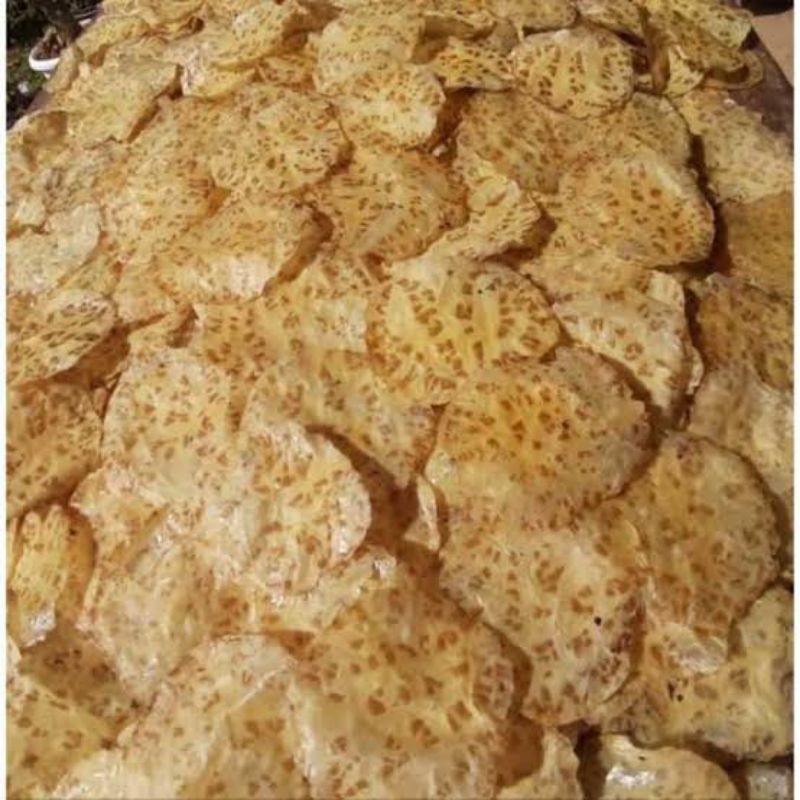 

Kerupuk Jengkol Gurih