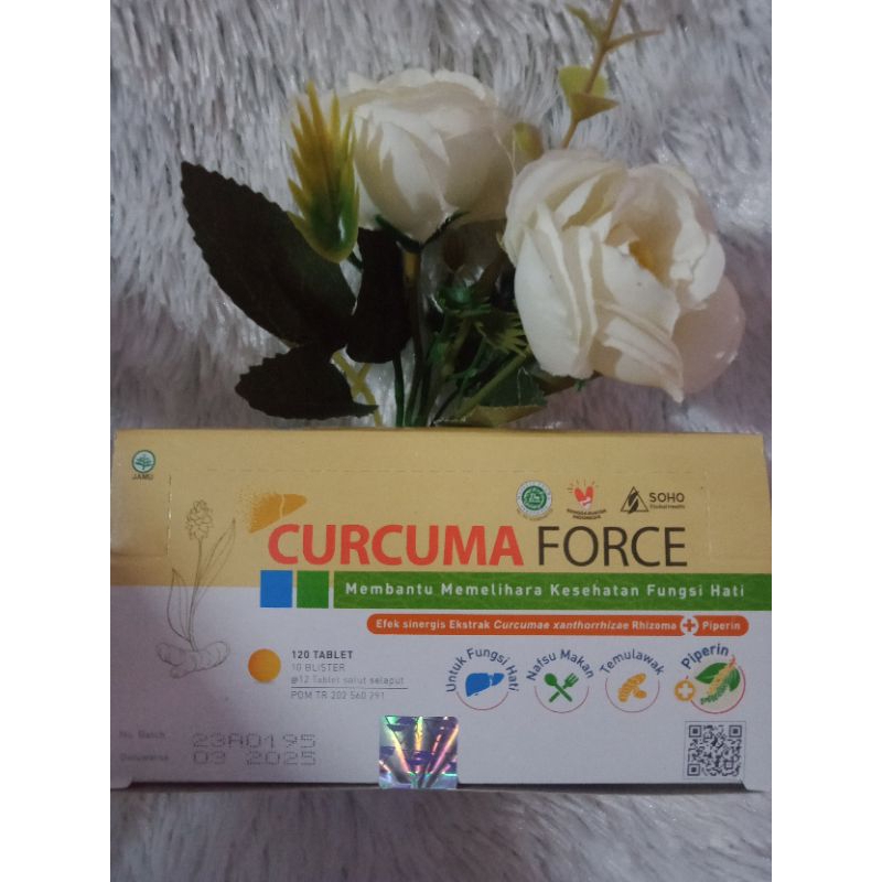 CURCUMA FORCE 1 BOX (120 TABLET)