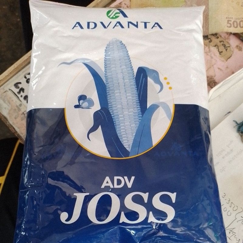 benih jagung hibrida ADV JOSS 1kg