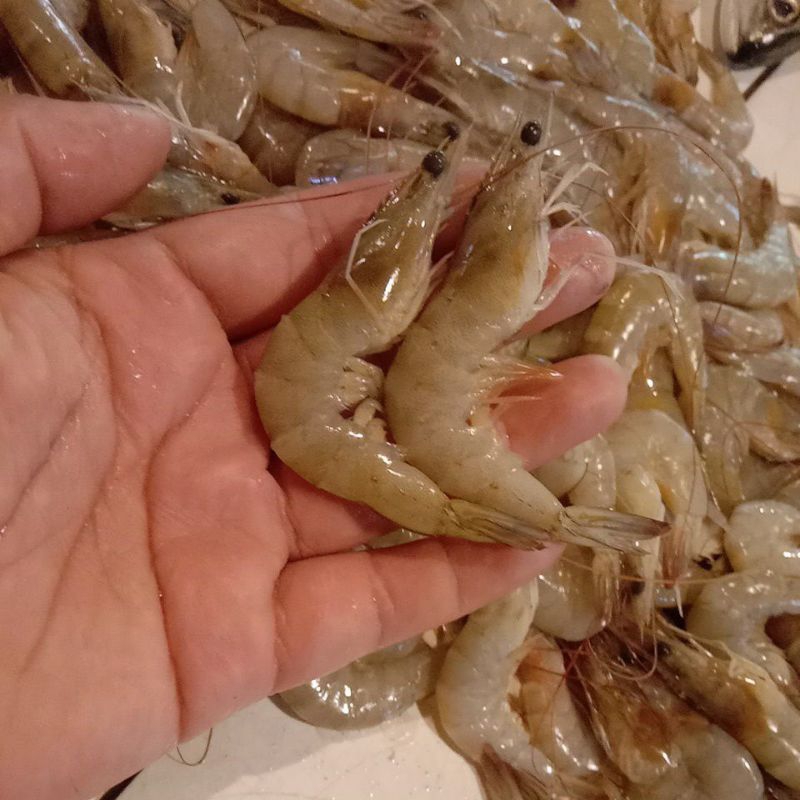 

udang sedang segar 40pcs