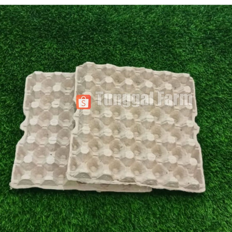 EGG TRAY KERTAS  1 BALL / TEMPAT TELUR / WADAH TELUR/ EGG TRAY KERTAS