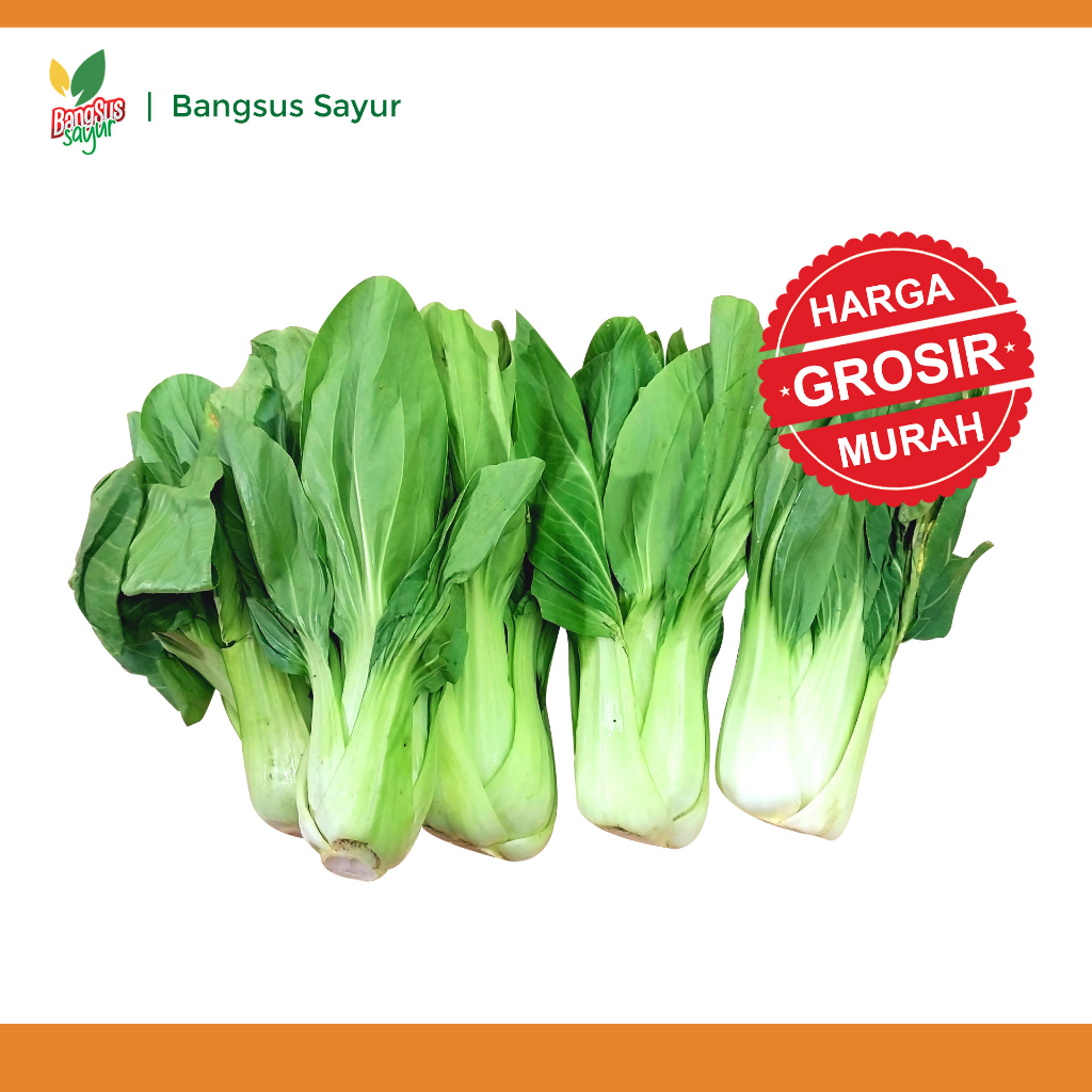 

Sawi Sendok 5Kg Grosir Segar Murah