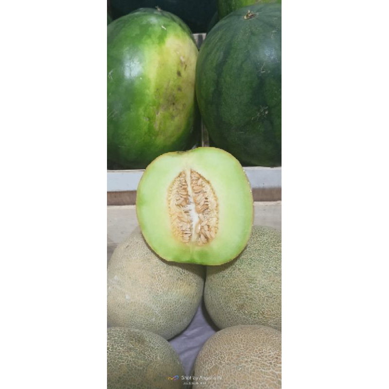 

melon