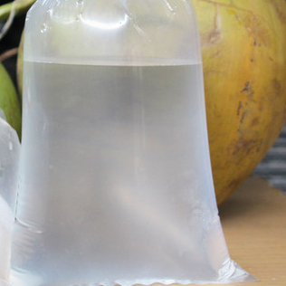 

Air Kelapa Tua 500ml