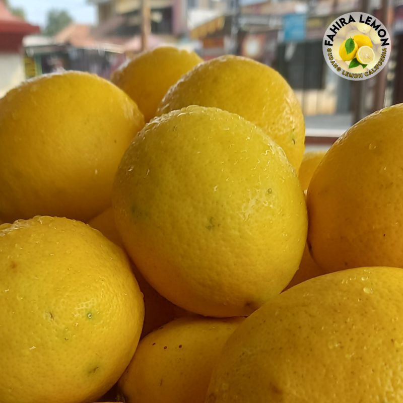 

LEMON CALIFORNIA 500 gram by Fahiralemon