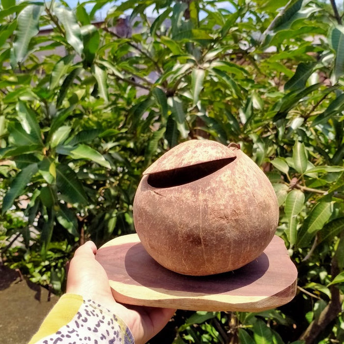 Asbak Unik Asbak Rokok Asbak Murah Asbak Batok Kelapa