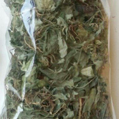 

TERBAIK JAMU DAUN GEMPUR BATU/TUTP BUMI HERBAL -100 GRAM