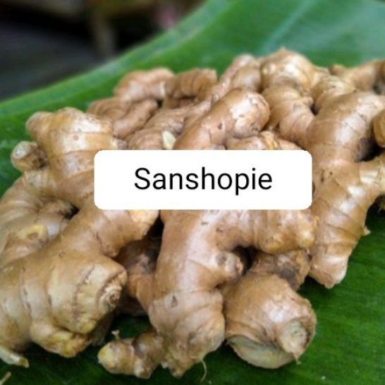 

Jahe gajah segar Paket per 500 gram