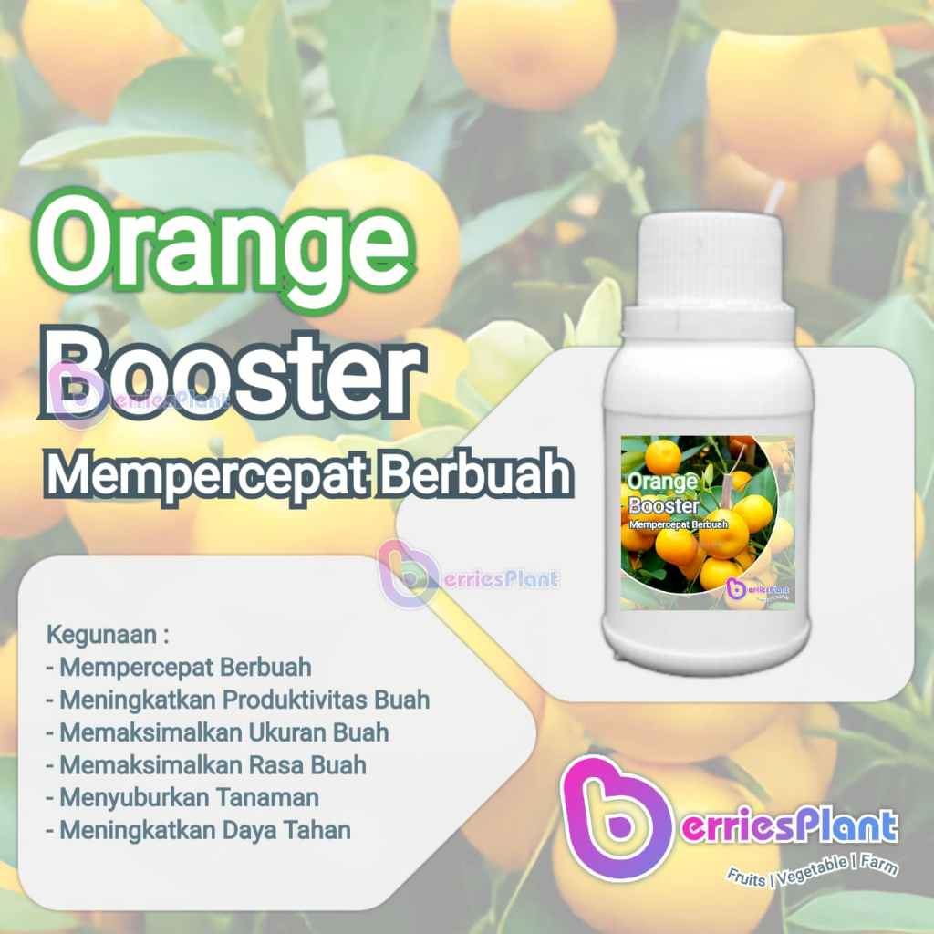 Booster Jeruk SUPER | Mempercepat Berbuah | Perangsang Bunga  |  Perangsang Buah | Cepat Berbuah  | 