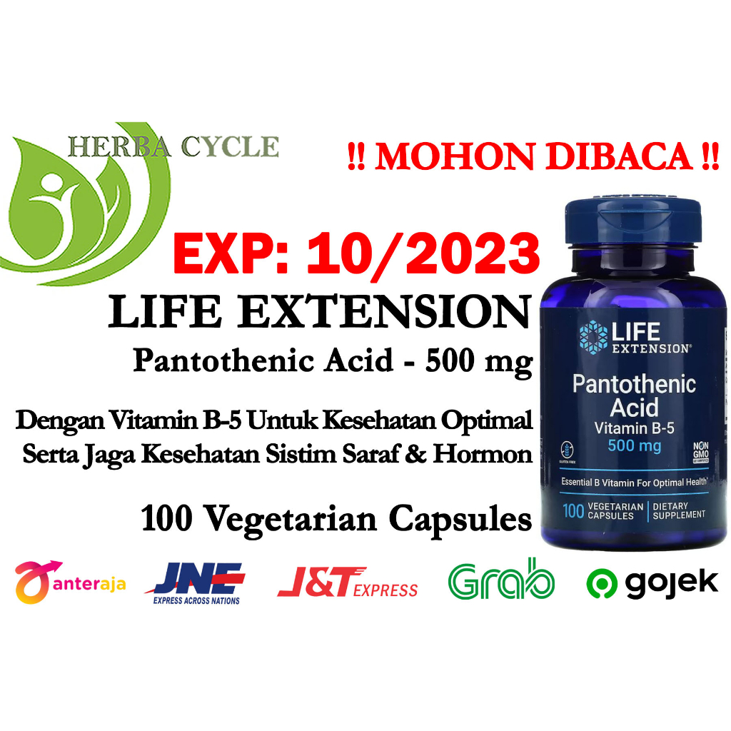 Life Extension Pantothenic Acid Vitamin B5 500 mg 100 Veg Vit B5 ORI USA