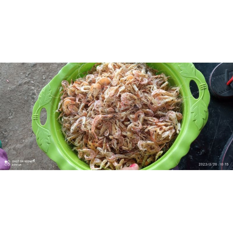 

rebon kasar Ebi