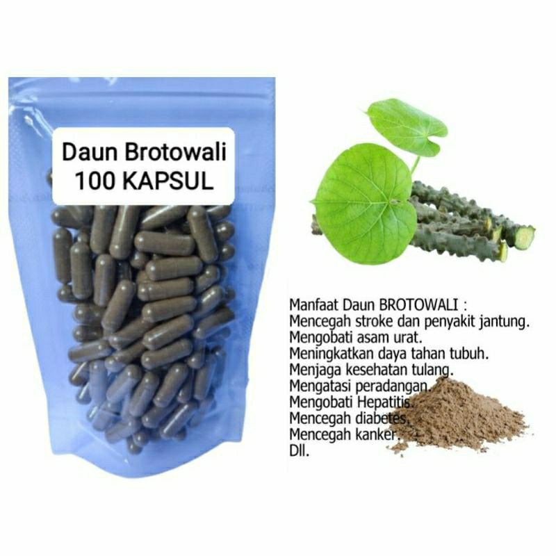 

DAUN BROTOWALI 100 KAPSUL OBAT HERBAL TERBAIK TOPP SELLER JATIM (PREMIUM QUALITY)