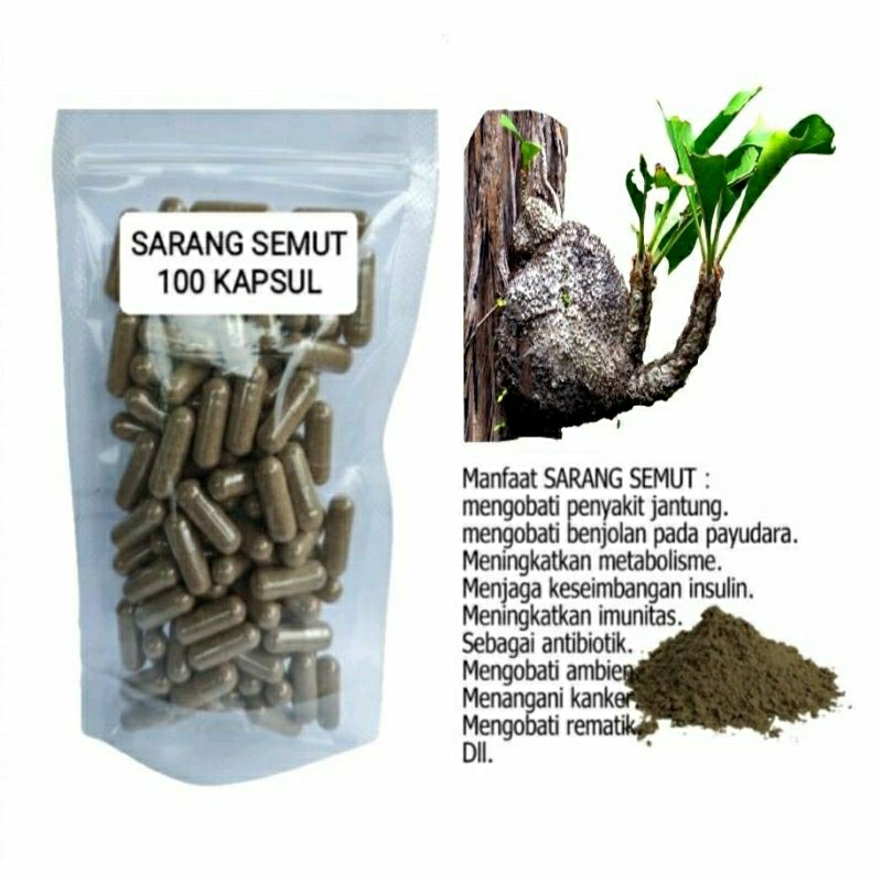 

SARANG SEMUT 100 KAPSUL OBAT HERBAL TERBAIK TOPP SELLER JATIM (PREMIUM QUALITY)