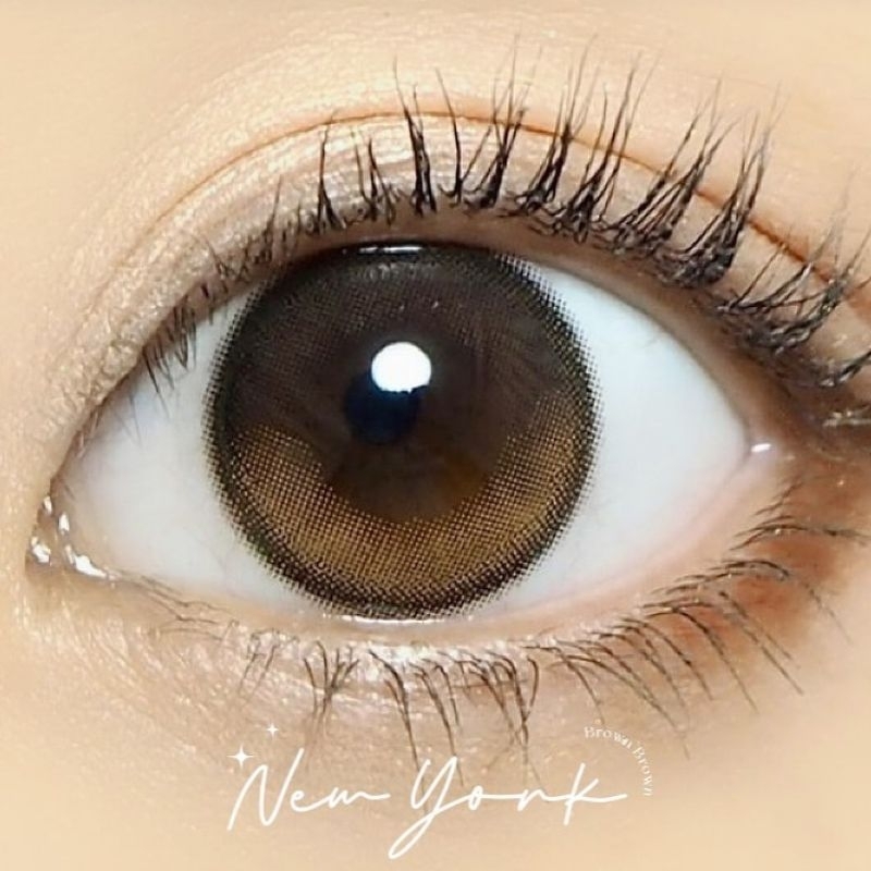 SOFTLENS NEW YORK KITTY KAWAII BROWN GRAY NORMAL MINUS  s.d -10.00