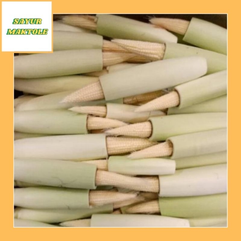 

[Sayur Segar] Putren segar 250gr-1kg