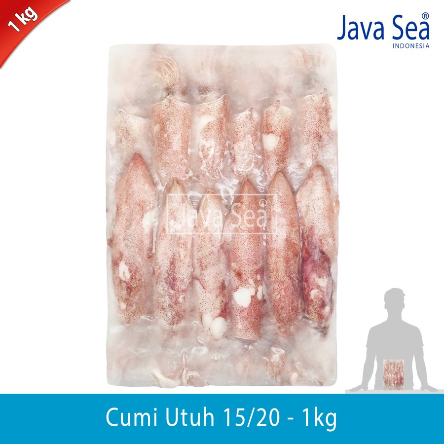 

Cumi Utuh 15/20 pack 1kg Java Sea