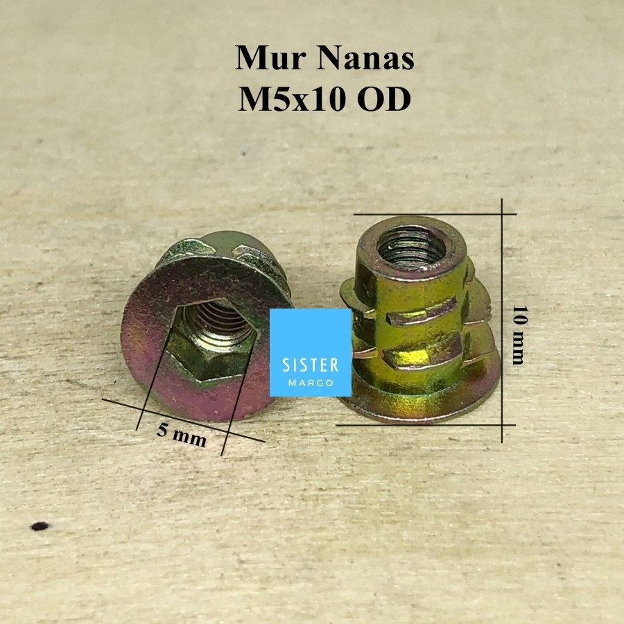 Mur Nanas Mur Tanam M5x10 OD - Isi 10 Pcs
