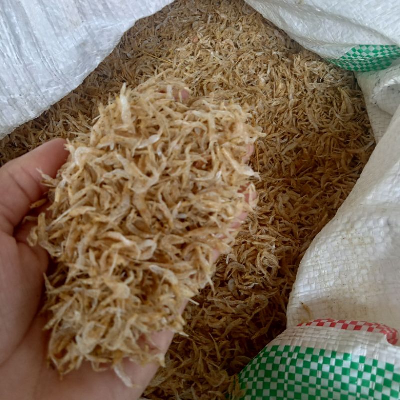 

udang papai kering 100 gr