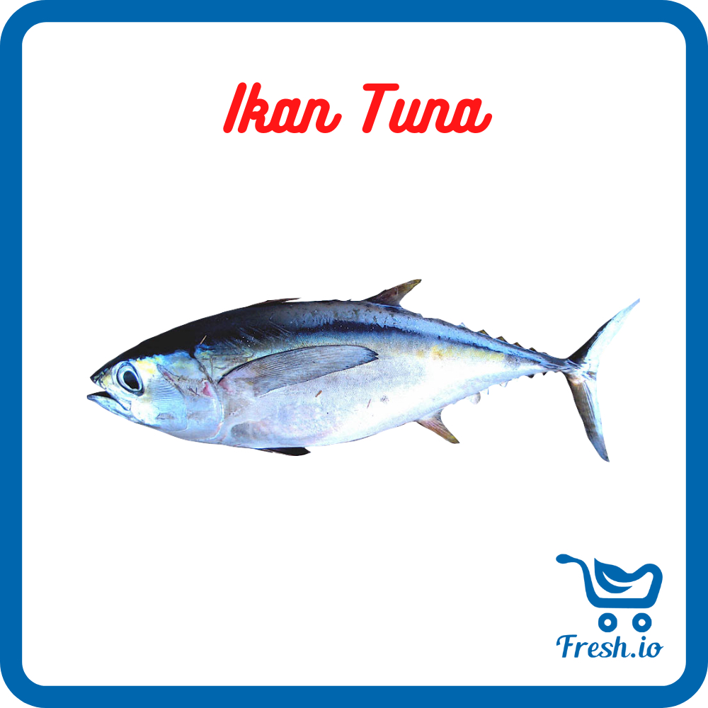 

Ikan Tuna