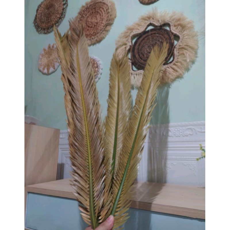 Sikas/mawar Jambe / bunga kering
