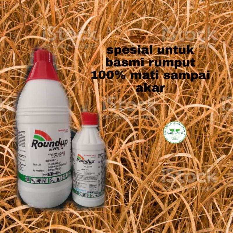 Roundup/herbisida rumput/roundap/obat rumput liar/obat rumput mati sampai akar