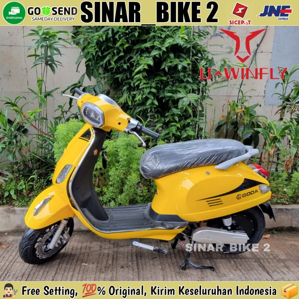 Sepeda Motor Listrik GODA 220 GOLDEN RAPTOR Electric E Bike 800 Watt