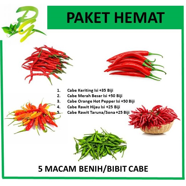 PEERINA Paket Benih Bibit Cabe 5 Macam - Cabai Besar Cabe Keriting Cabe Rawit Hijau Cabe Rawit Orang