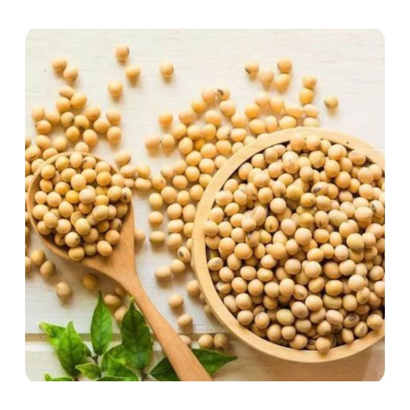 

kacang kedelai 500gr