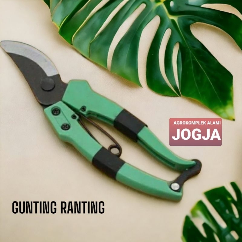 Gunting Dahan Ranting Bunga Bengkok peralatan berkebun taman garden tools tanaman bonsai cutting new ( Gunting warna plastik )