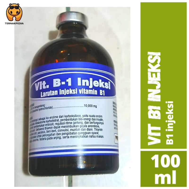 Vit B1 injeksi - Obat Lumpuh - B1 100ml- Obat Hewan