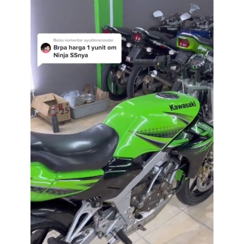 Cat Hijau Ninja Cat Hijau Solid Cat Kawasaki Ninja Green Cat Motor Mobil Sepeda 1kg