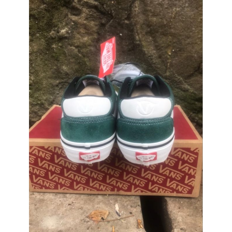 Vans rowan pro