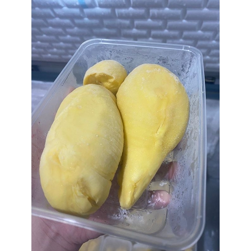 

DURIAN MONTONG PALU PREMIUM PROMO