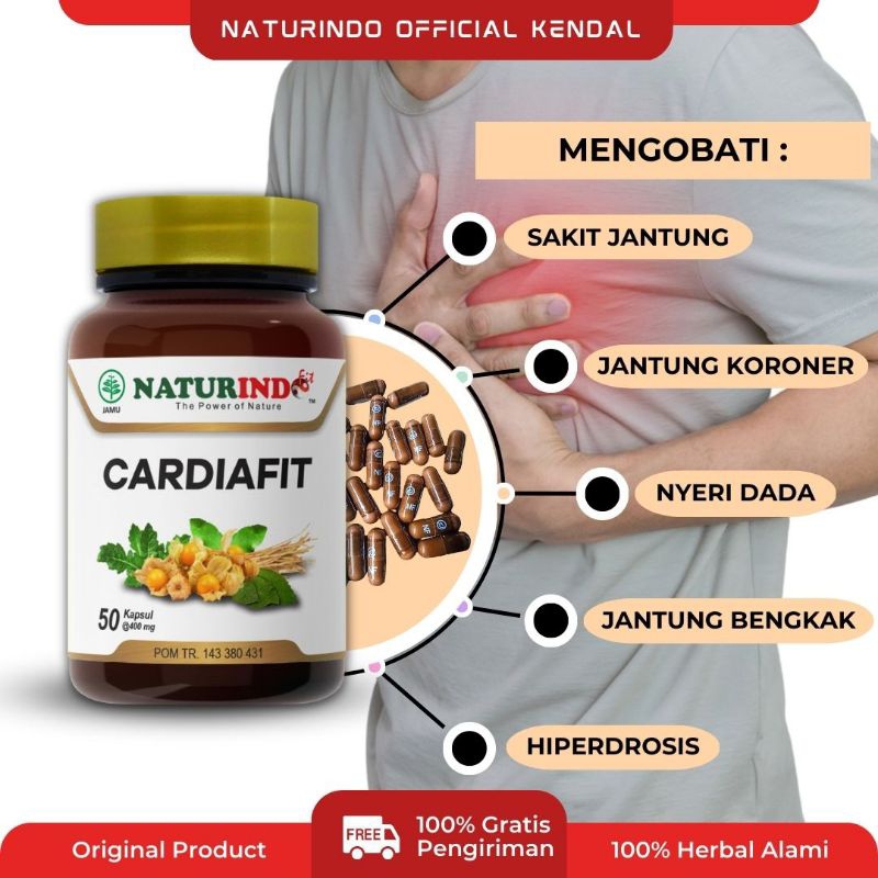 Obat herbal spesial jantung paling ampuh, herbal atasi lemah jantung, obat atasi jantung berdebar, herbal jantung lemah