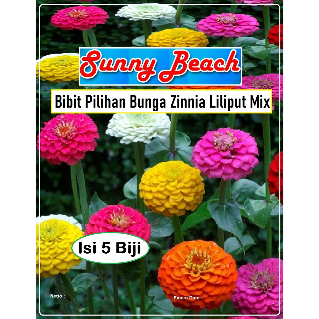 Bibit Pilihan Bunga Zinnia Liliput Mix | Biji Benih Bunga Zinnia