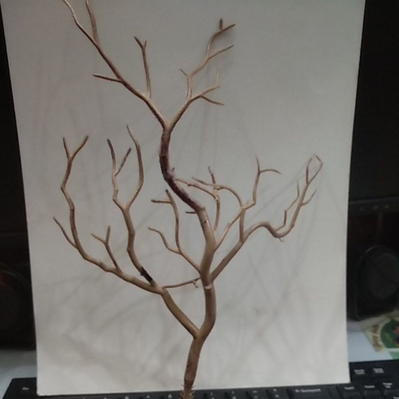 ranting hias palsu akar plastik anggrek 36cm