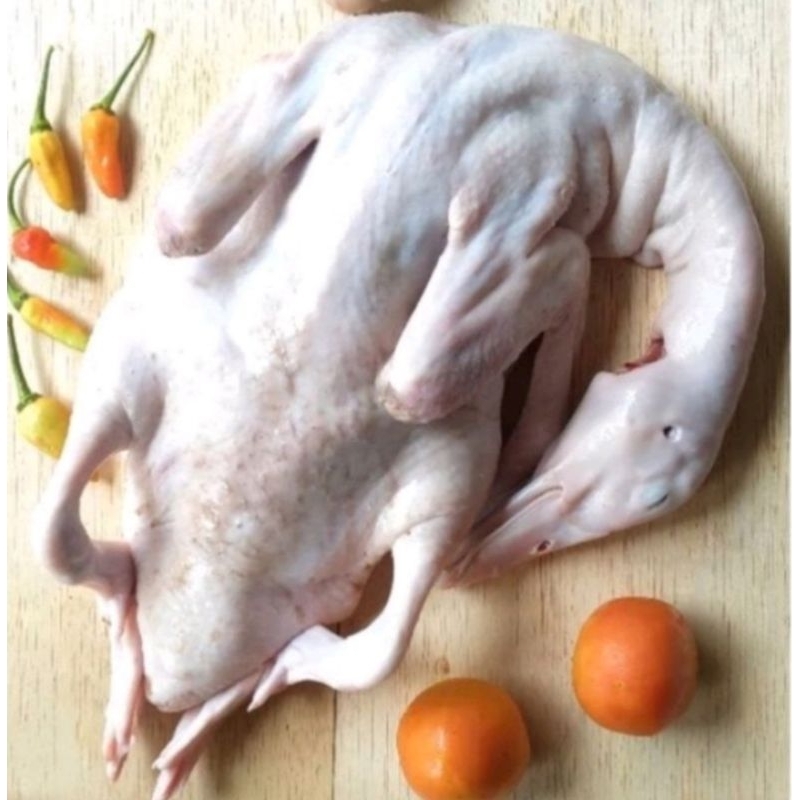 

bebek lokal fresh
