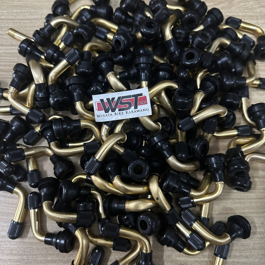 Pentil Ban Sepeda Listrik Tubeless Pentil Tubeless Selis