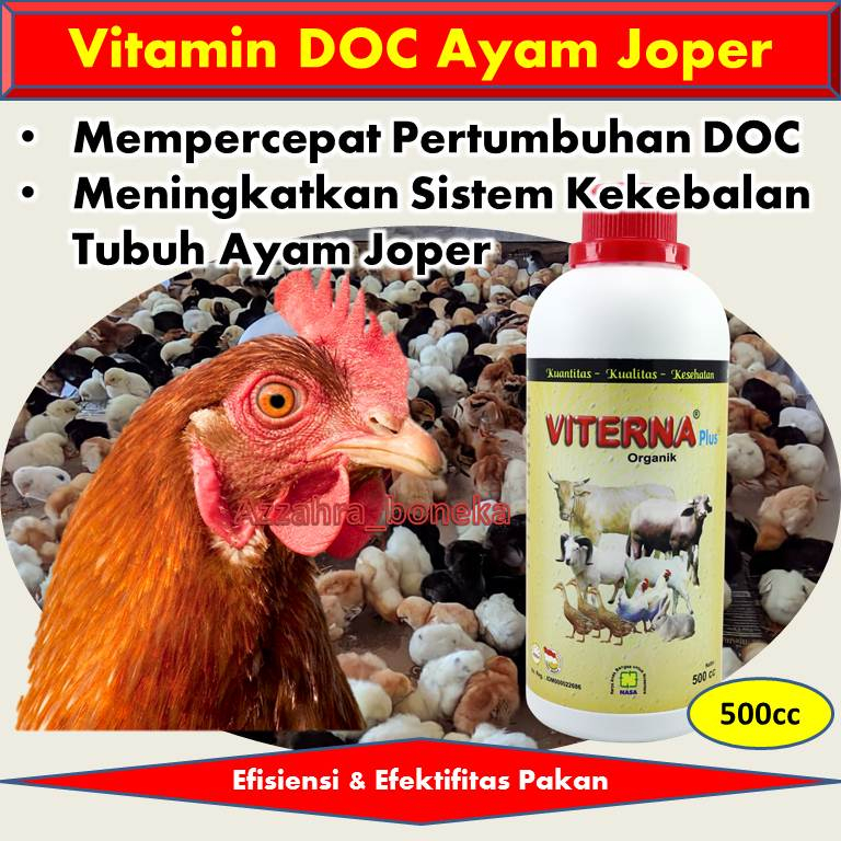 Vitamin Ayam Kampung Cepat Besar 500cc / Vitamin Ayam / Vitamin Ayam Bangkok