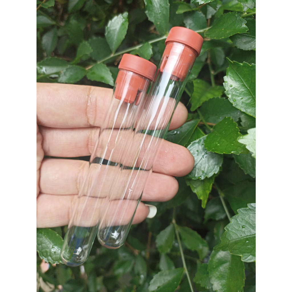 Tabung Reaksi 10ml plus Tutup Karet / test tube 10 ML